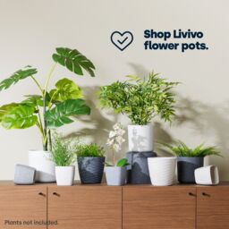 LIVIVO 18cm Grey Round Plastic Plant Pot Sandstone Indoor Outdoor Use - thumbnail 8