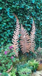 Inspirational Gifting Rustic Fern Border Stakes Trellis Set of 3 in Brown - thumbnail 3