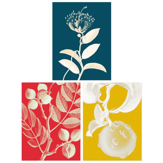 Artery8 Wall Art Print Pack of 3 A4 Bold Bright Botanicals Plant Tree Branch Bloom Blue Red Yellow Living Room s Set - image 1