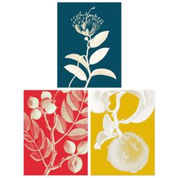 Artery8 Wall Art Print Pack of 3 A4 Bold Bright Botanicals Plant Tree Branch Bloom Blue Red Yellow Living Room s Set - thumbnail 1