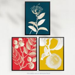 Artery8 Wall Art Print Pack of 3 A4 Bold Bright Botanicals Plant Tree Branch Bloom Blue Red Yellow Living Room s Set - thumbnail 5