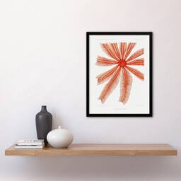 Artery8 Brisingida Starfish Marine Life Albert I Framed Wall Art Print in White - Size: A4 - thumbnail 4