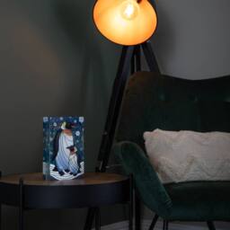 Samuel Alexander 21cm Double Sided Mother & Baby Penguin Decoration with LEDs - thumbnail 3