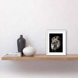 "Artery8 Wall Art Print Lion Head Portrait Dramatic Photograph Strong Leo Dark Atmospheric Light Artwork Framed 9X7 Inch in White - Size: W7"" x H9""" - thumbnail 2
