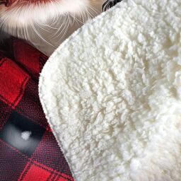 Warren Reed - Designer Christmas Black Cat Sherpa Blanket - Size: Large - thumbnail 3