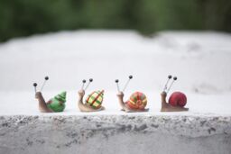 Marco Paul Pack of 4 Multicoloured Snail Garden Ornaments - thumbnail 2