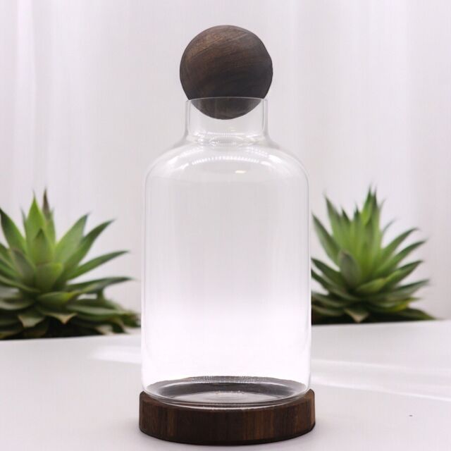 KDMD Large Ball Top Terarium on Dark Tung Wood in Brown - image 1