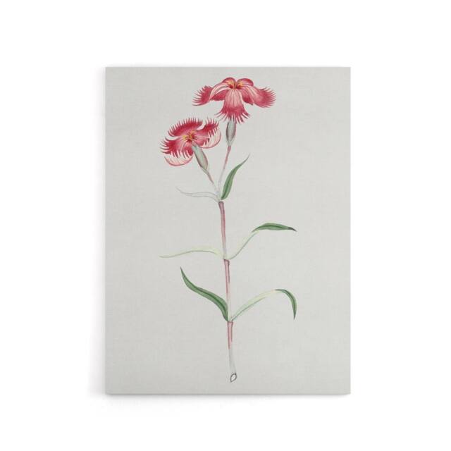 "Artery8 Nadeshiko Flower Canvas Wall Art Print Vintage Japanese Botanical in Blue - Size: W18"" x H24""" - image 1