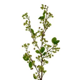 Lemon Pavilion Furniture and Decor Mossberry Large Branch Artificial Flower - L25 x W25 x H118 cm - Green - thumbnail 2