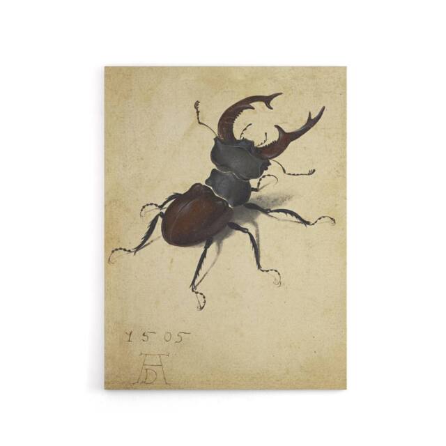 "Artery8 Stag Beetle Nature Study Albrecht Durer Canvas Wall Art Print in Beige - Size: W18"" x H24""" - image 1