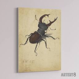 "Artery8 Stag Beetle Nature Study Albrecht Durer Canvas Wall Art Print in Beige - Size: W18"" x H24""" - thumbnail 2