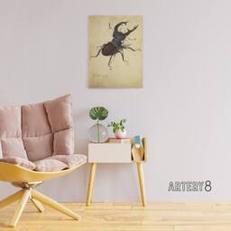 "Artery8 Stag Beetle Nature Study Albrecht Durer Canvas Wall Art Print in Beige - Size: W18"" x H24""" - thumbnail 3