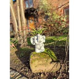 SPETLEK Garden Ornament Plant Pot Planter in Grey - thumbnail 5