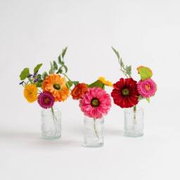Scottish Everlastings Ltd Set of 3 Multi Floral Mini Posies + 3 Glass Vases - thumbnail 3