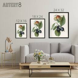"Artery8 Vintage Illustration of Two Plum Varieties Wright Framed Canvas Art in White - Size: W12"" x H16""" - thumbnail 4