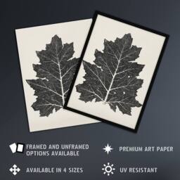"Artery8 Black & White Leaf Drawing Owen Jones Vintage Framed Wall Art Print in Beige - Size: W12"" x H16""" - thumbnail 2