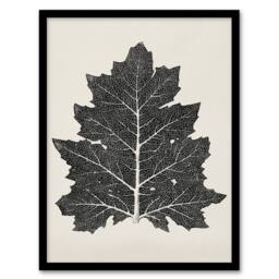 "Artery8 Black & White Leaf Drawing Owen Jones Vintage Framed Wall Art Print in Beige - Size: W12"" x H16""" - thumbnail 1