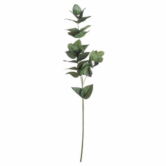 Lemon Pavilion Furniture and Decor Eucalyptus Filler Artificial Plant, Plastic, L5 x W20 x H60 cm, Green