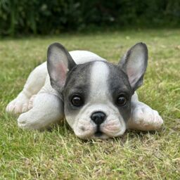 Animal Crackers Realistic Black & White Laying French Bulldog Figurine Decoration Or Memorial - thumbnail 2