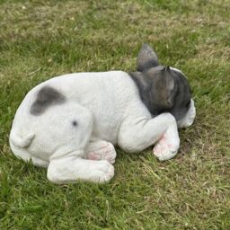 Animal Crackers Realistic Black & White Laying French Bulldog Figurine Decoration Or Memorial - thumbnail 6