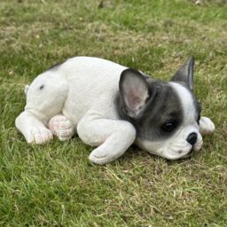 Animal Crackers Realistic Black & White Laying French Bulldog Figurine Decoration Or Memorial - thumbnail 4