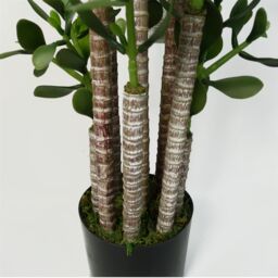 Leaf Faux Deluxe 75cm Artificial Green Jade Plant - thumbnail 4