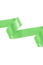 Neel Blue Double Sided Satin Polyester Ribbon Roll, 25mm x 10 Metres in Green - thumbnail 1
