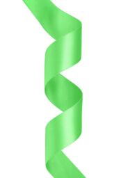 Neel Blue Double Sided Satin Polyester Ribbon Roll, 25mm x 10 Metres in Green - thumbnail 3