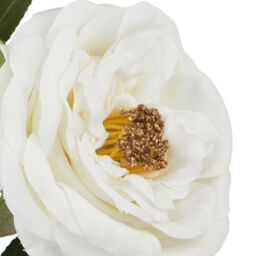 Hill Interiors The Natural Garden Collection Hedge Rose Artificial Flower in White - thumbnail 4