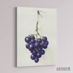 "Artery8 Bunch of Blue Grapes Oil Jean Bernard Vintage Canvas Wall Art in White - Size: W18"" x H24""" - thumbnail 2
