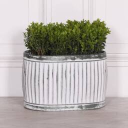 FLAVORA Medium VINTAGE AGED RIBBED GALVANISED METAL TIN in White - Size: 100g
