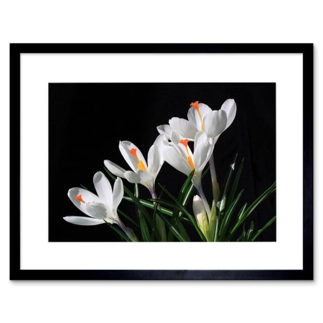 "Artery8 Snowdrops Flowers Open Bloom Spring Home Decor 12x16"" Framed Art Print in Black - Size: W12"" x H16""" - image 1