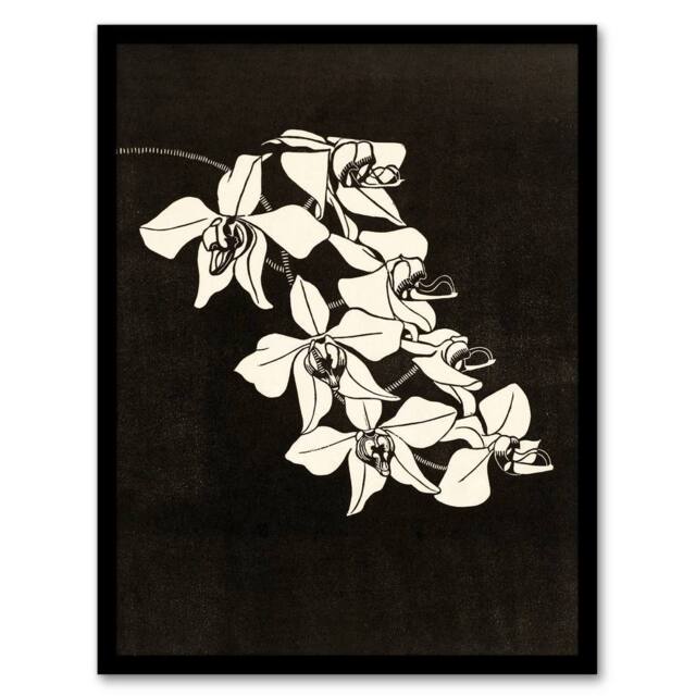 Artery8 Black & White Orchid Flower De Mesquita Framed Wall Art Print - Size: A4 - image 1