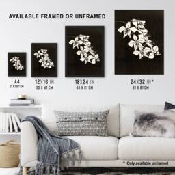 Artery8 Black & White Orchid Flower De Mesquita Framed Wall Art Print - Size: A4 - thumbnail 3