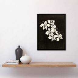 Artery8 Black & White Orchid Flower De Mesquita Framed Wall Art Print - Size: A4 - thumbnail 4