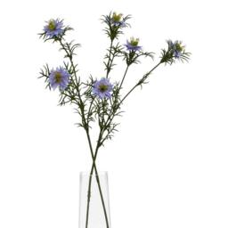 Lemon Pavilion Furniture and Decor The Natural Garden Collection Nigella Love In A Mist - Purple - thumbnail 3