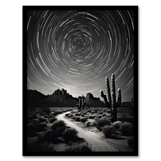 "Artery8 Wall Art Print Moon & Star Time Lapse Trails Stars Tracing Their Journey Across The Sky Desert Cactus Art Framed in Black - Size: W12"" x H16""" - image 1