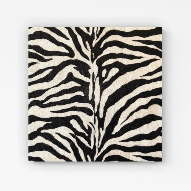 "Warren Reed - Designer White Tiger Print Canvas in Black - Size: W30"" x H30""" - image 1