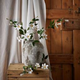 Lemon Pavilion Furniture and Decor Florida Clematis - Plastic - L25 x W25 x H77 cm - White - thumbnail 3