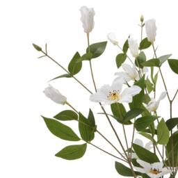 Lemon Pavilion Furniture and Decor Florida Clematis - Plastic - L25 x W25 x H77 cm - White - thumbnail 6