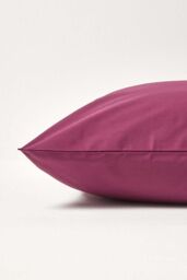 Homescapes Continental Egyptian Cotton Pillowcase 200 TC, 40 x 80 cm in Plum - thumbnail 2