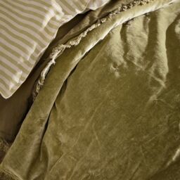 Yard Jaye Fringed Cotton Velvet Bedspread in Green - thumbnail 2