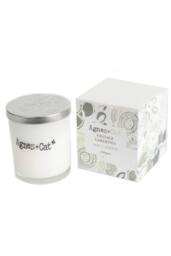 KDMD Agnes & Cat Vintage Gardenia Soy Votive Candle with Lid in White - thumbnail 2