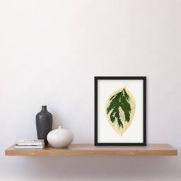 Artery8 AF Lydon B Fawcett Hydrangea Japonica Variegata Leaf Framed Art Print in White - Size: A4 - thumbnail 4