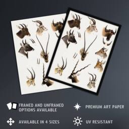 "Artery8 Bovidae Animals Vintage Illustration Lydekker Wall Art Poster Print in White - Size: W18"" x H24""" - thumbnail 2