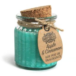 KDMD Apple & Cinnamon Soy Pot of Fragrance Candles - (Set of 2) in Teal - thumbnail 1