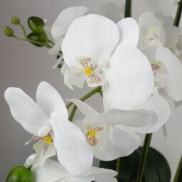 Leaf 60cm Orchid Artificial White Marble Effect Ceramic Planter in Green - thumbnail 2