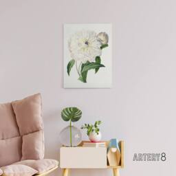 "Artery8 Peony Flower Illustration Redoute Vintage Canvas Wall Art in White - Size: W18"" x H24""" - thumbnail 3