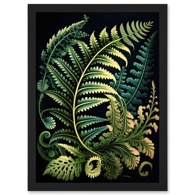 Artery8 Fern Fronds Ernst Haeckel Style Leaf Illustration Artwork Framed Wall Art Print A4 in Black - image 1