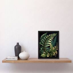 Artery8 Fern Fronds Ernst Haeckel Style Leaf Illustration Artwork Framed Wall Art Print A4 in Black - thumbnail 2